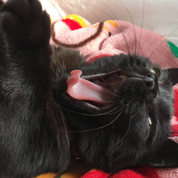 Cbd0caa9 4e48 4f7c a77d d9828a986972