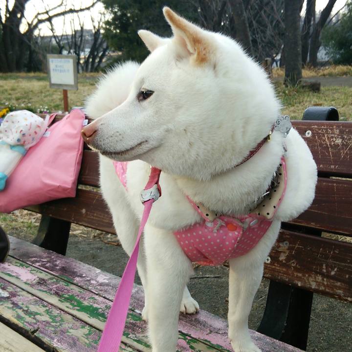 Cbd11047 f226 40ea b2d3 5b461f68cba9