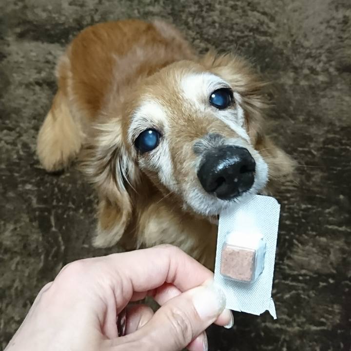 Cbd12390 006f 4ff0 adf5 ba9ea7591d4a