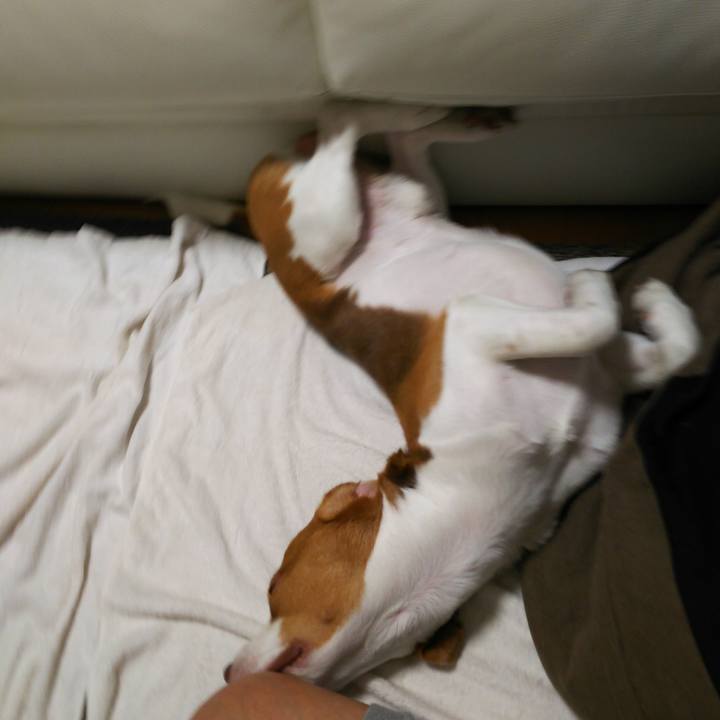 Cbd12a0f 53ad 41fd 96fa d8a391103e95