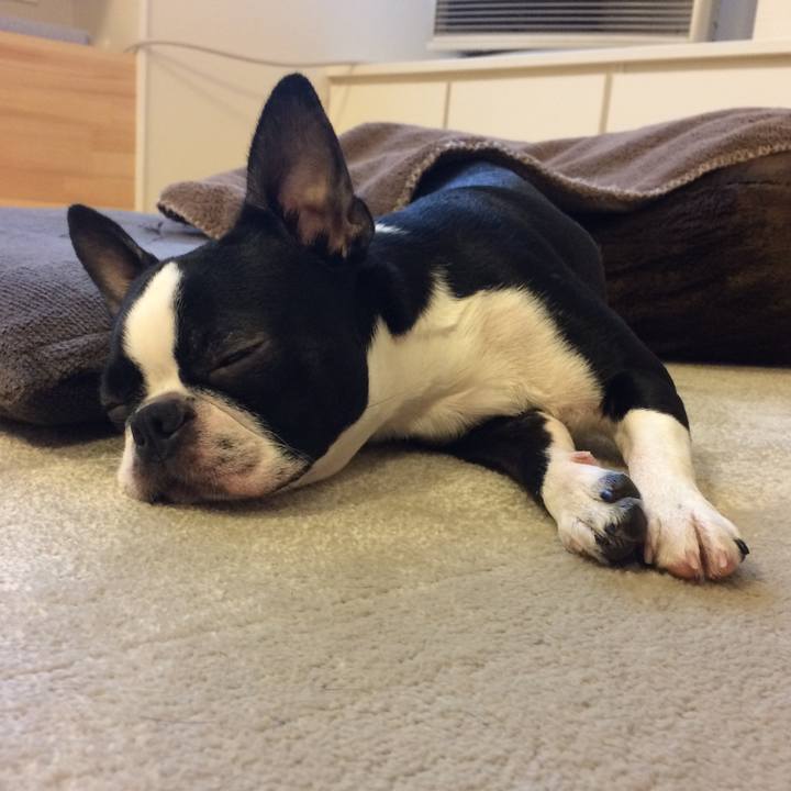 Cbd12e6f 35f1 4d9e a4ee de6a8089f6ba