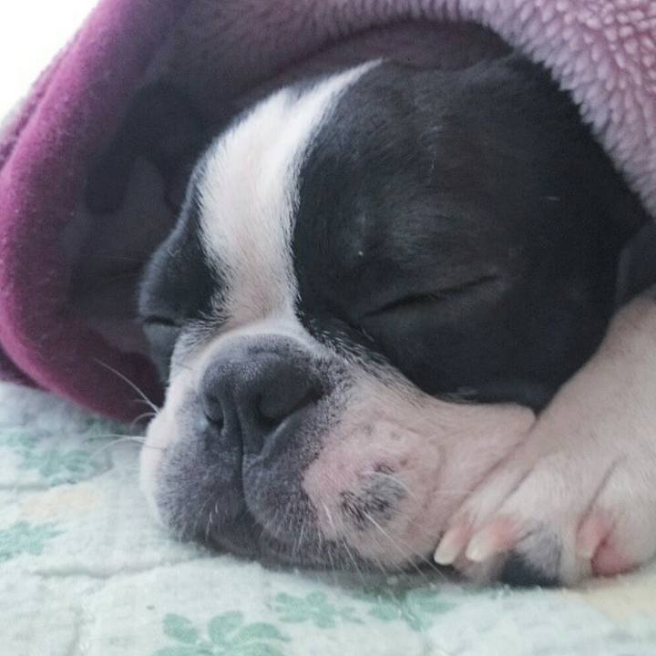 Cbd15cb3 9274 40ce 8d73 db0759b15f58