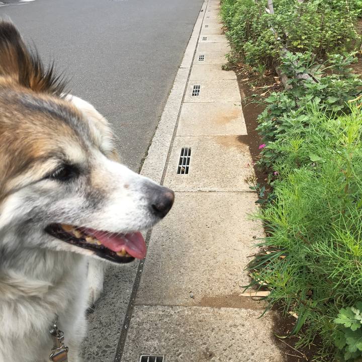 Cbd1ae45 5949 4782 ad71 3182f35f9dc2