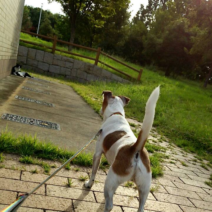 Cbd2d0bc 5b8c 407a b9bb 7c8ac6240cf0