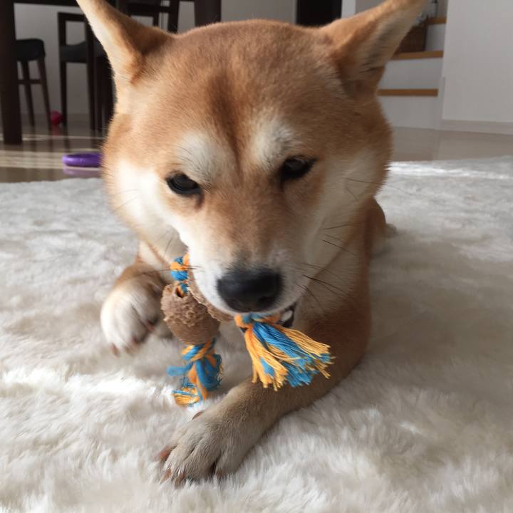 Cbd30aaf 1eae 4e25 bec0 40468d36d009