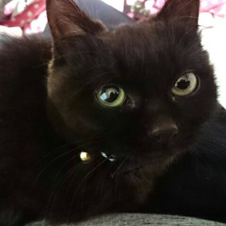 Cbd3315b 1882 47fd 9233 859812fee8da