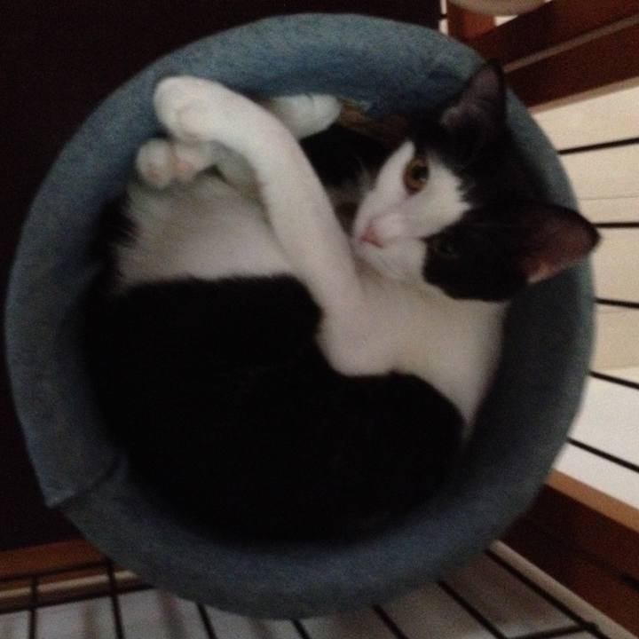 Cbd386fe 3d6c 411c b4f7 e3b204fc5f99