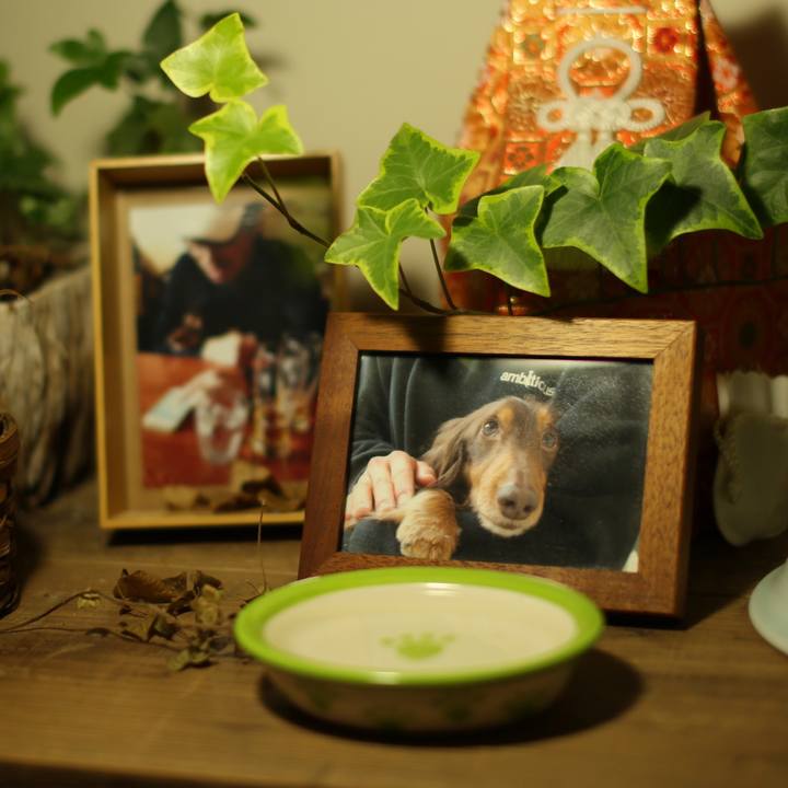 Cbd397aa 395f 4790 89ff 1842b11a5d7e