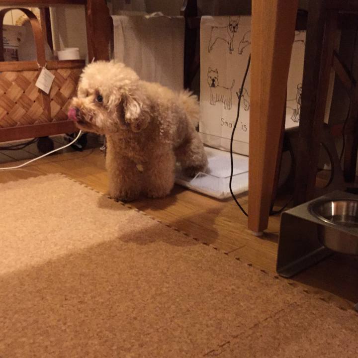 Cbd4a957 af09 4fb2 9b2e 458d8c5fedb1