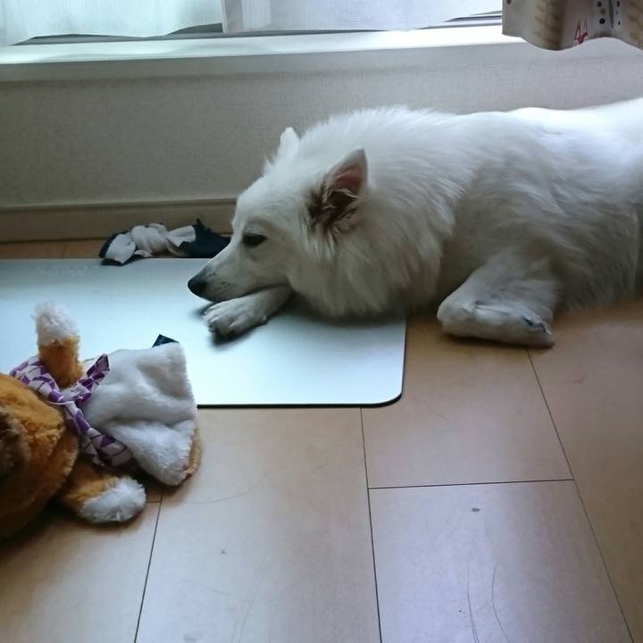 Cbd4d96b f4aa 4877 9192 438c092597a2