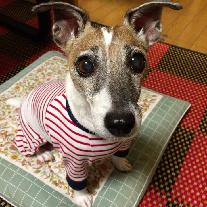 Cbd4de50 9228 4dba a352 4b5ecbf07b4d