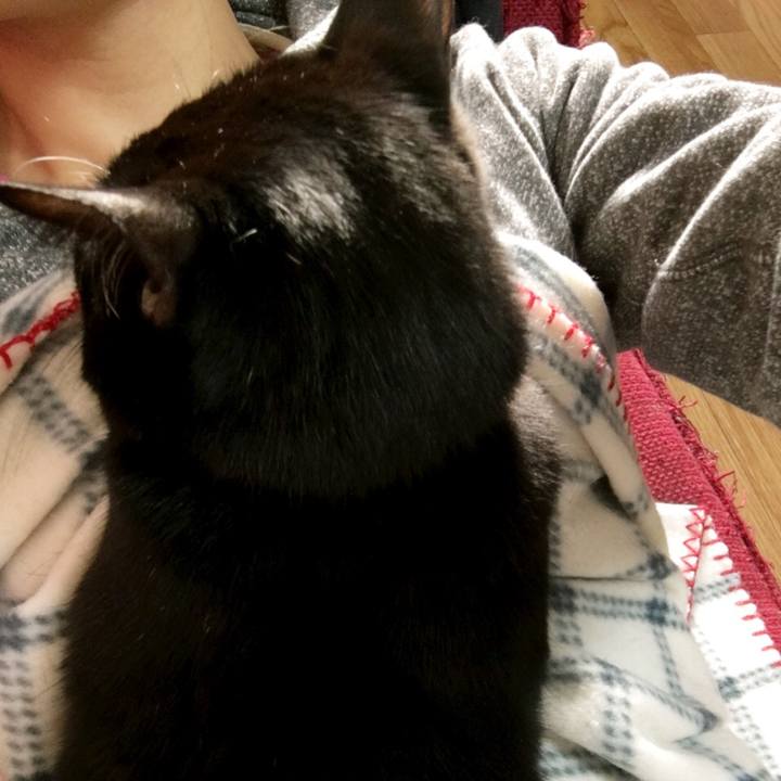 Cbd52446 15a5 4ced 8b22 d947406eec8a