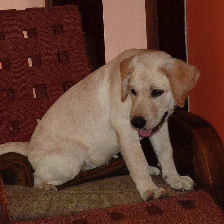 Cbd55c90 5fa3 4020 b7ca eb6bc195cc1c