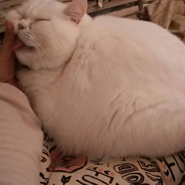 Cbd6cac7 e454 4e7b 91af a247c0743764