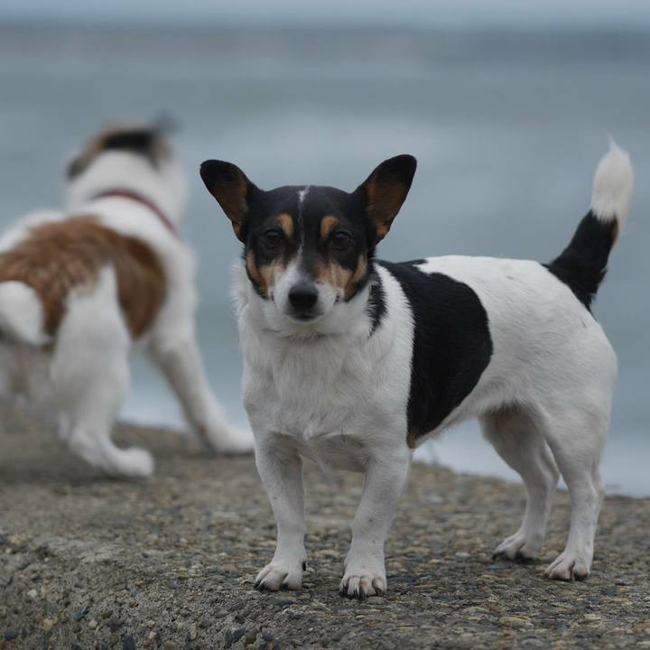 Cbd7000b 8666 40d5 abc3 e769c9ca835d