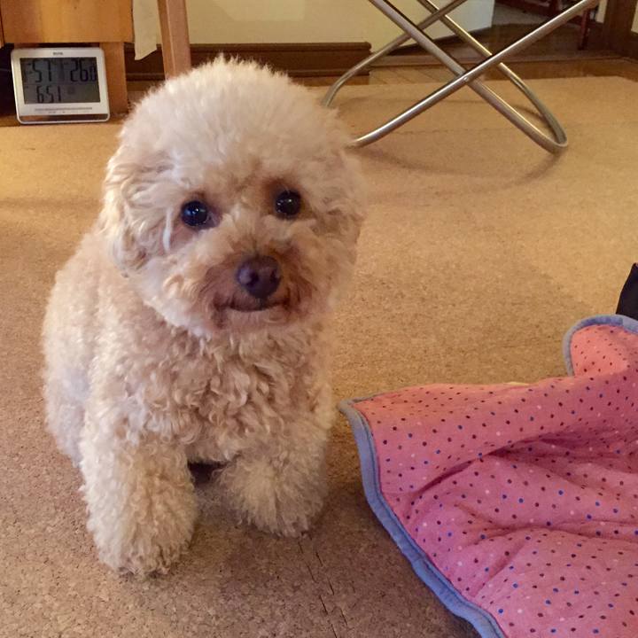 Cbd79c83 f1d6 4476 830f 5b472664675e