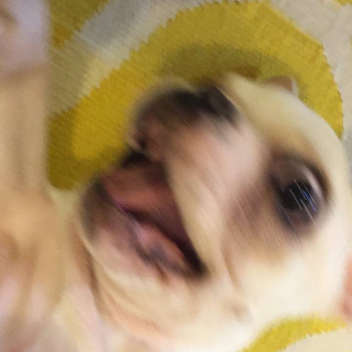 Cbd7e3f5 d16b 4993 93b8 9c3132ee7354