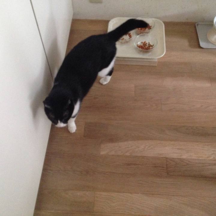 Cbd80636 48b4 4a53 9562 0c8d3c24350a