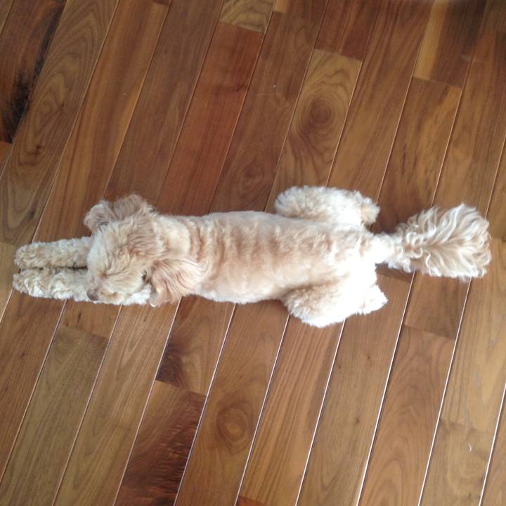 Cbd89e54 9a39 4923 9396 ed37ffd8f362