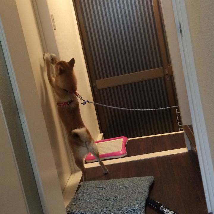 Cbd8a439 0d36 4159 974b f03c6a7f522a