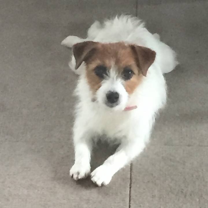 Cbd8a705 5141 4190 87c5 bdcc8053ec29