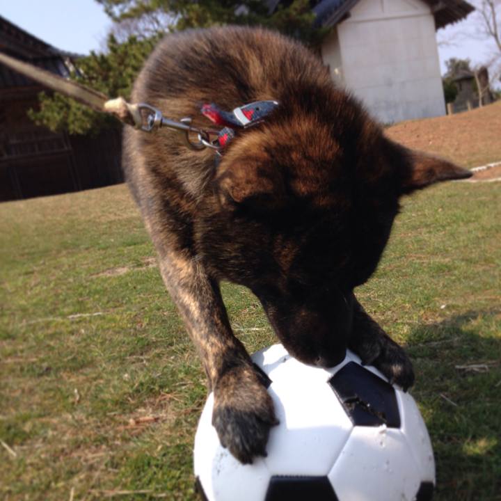 Cbd8b856 a419 4394 83a1 66231c827136