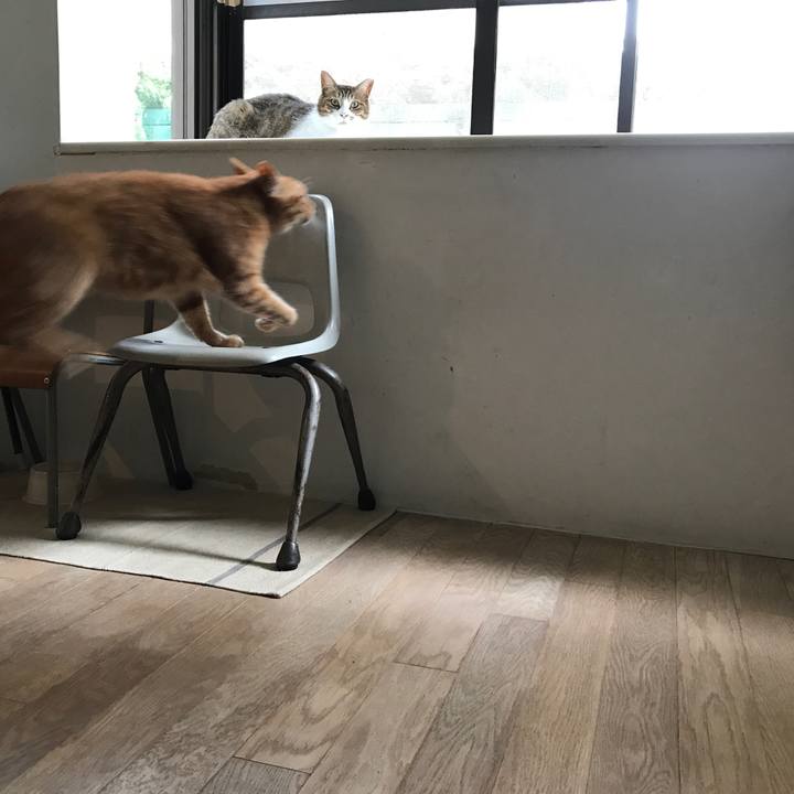 Cbd8ba7d 77ec 40ee babf ec7b44e20276