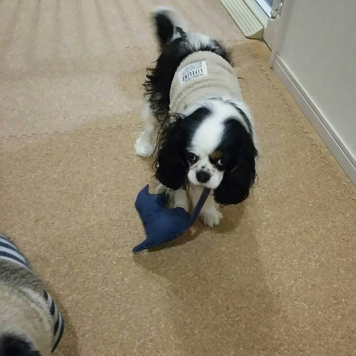 Cbd90452 a9e4 4e6a 9653 2714a2fd16f4