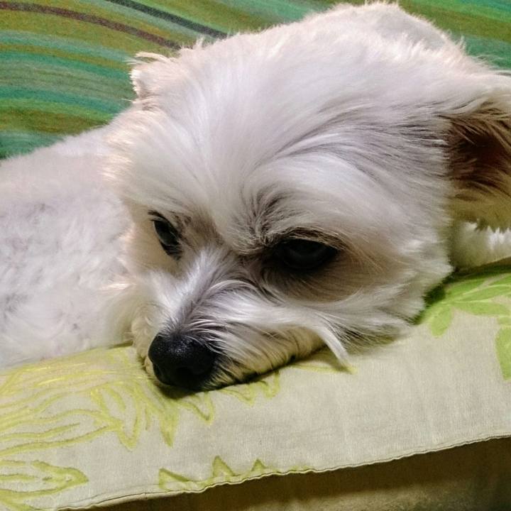 Cbd99647 b113 4bf5 a67d 1820c9827bf0