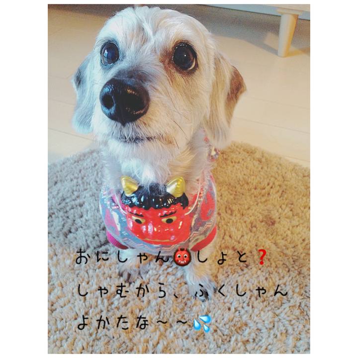 Cbd9bfc0 9105 41b3 9569 9cad301e36b3