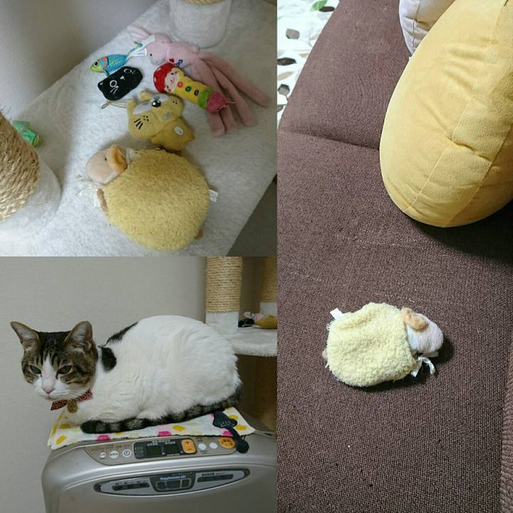 Cbd9e3ac 0725 466f abe5 0d53ea6afbac