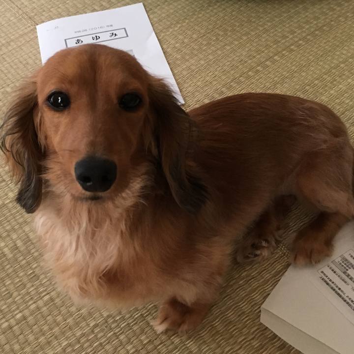 Cbda3e0c 0771 4ed9 99a6 1d1c45feec3f