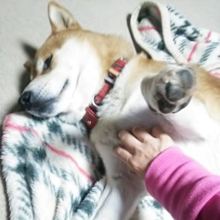 Cbda627f 0e2a 41c5 97f7 0267d85d7407