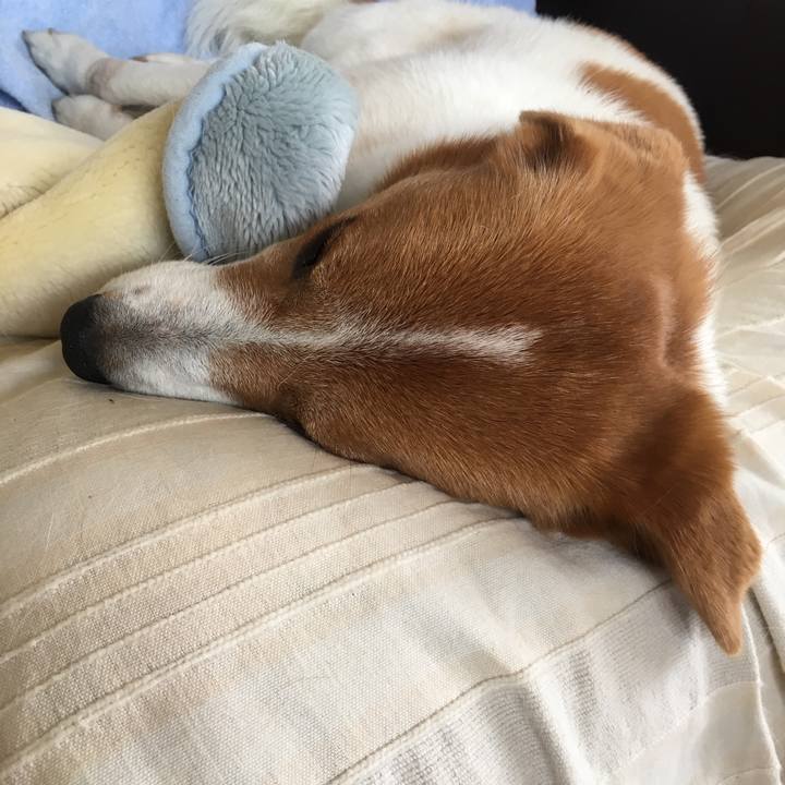 Cbda9612 a309 4551 b9a1 3bf3189a2bc5