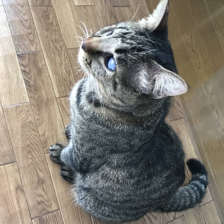 Cbdaebc0 dd56 40bd b858 a6d43126a6e2