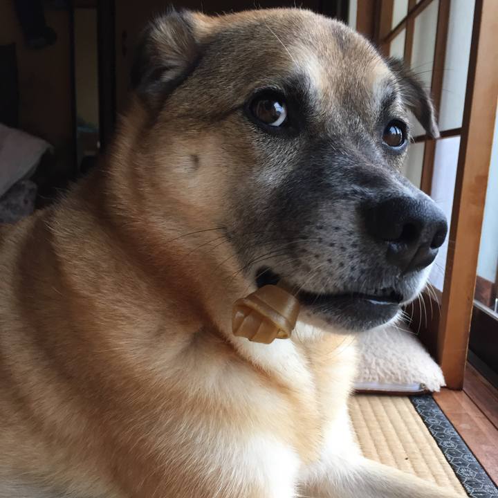 Cbdaffc3 1f53 4337 a305 6ab7bfdd8184