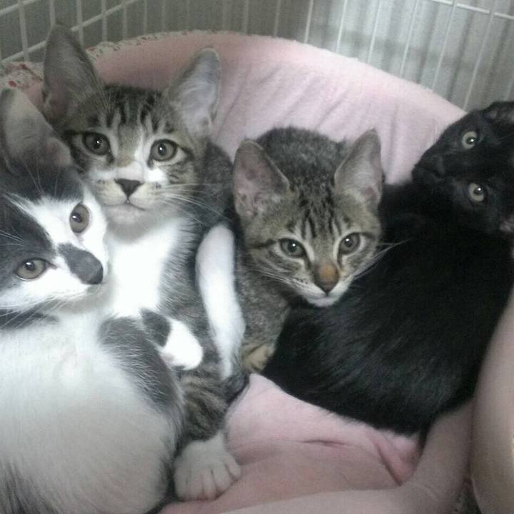 Cbdb5516 b9af 48d9 8dbd 50779e0f0b3a