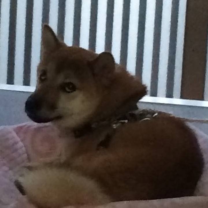 Cbdb6402 5ca3 4893 91fa d834c28de692