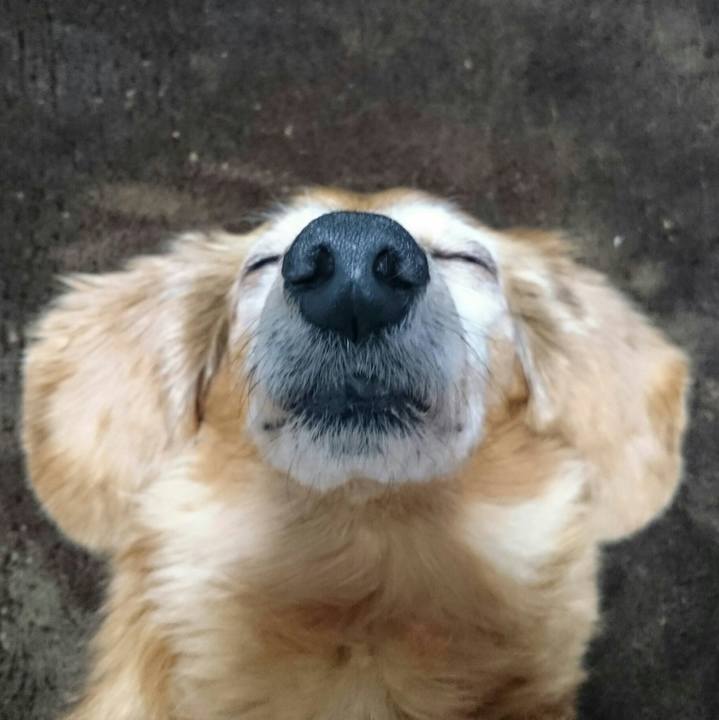 Cbdc2775 a633 4e39 807d 6feafa66d397