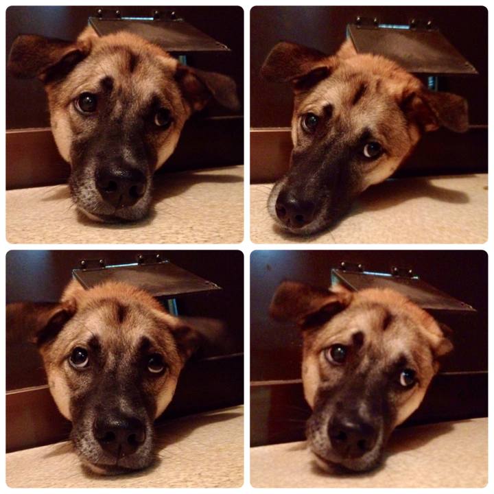 Cbdc55ea c8c4 44be 8683 dc2535ca0788