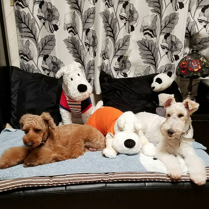 Cbdca31e 6852 441b 90f1 66f76eb36504