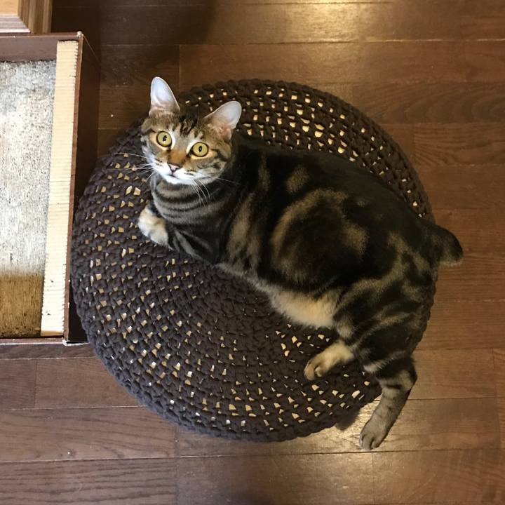 Cbdd108e 7bb8 433e ae01 0c4f743034b9