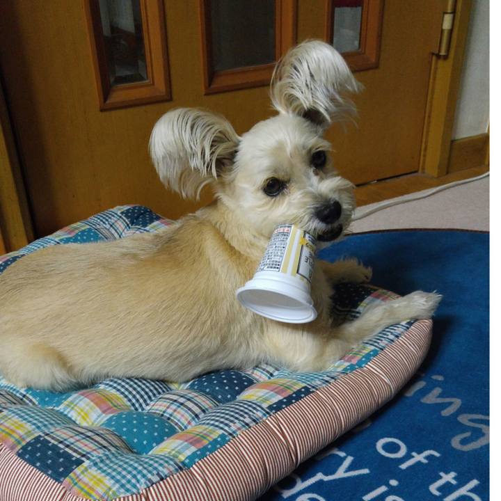 Cbdddb21 4501 46aa 98ad 776e2bec7bfc