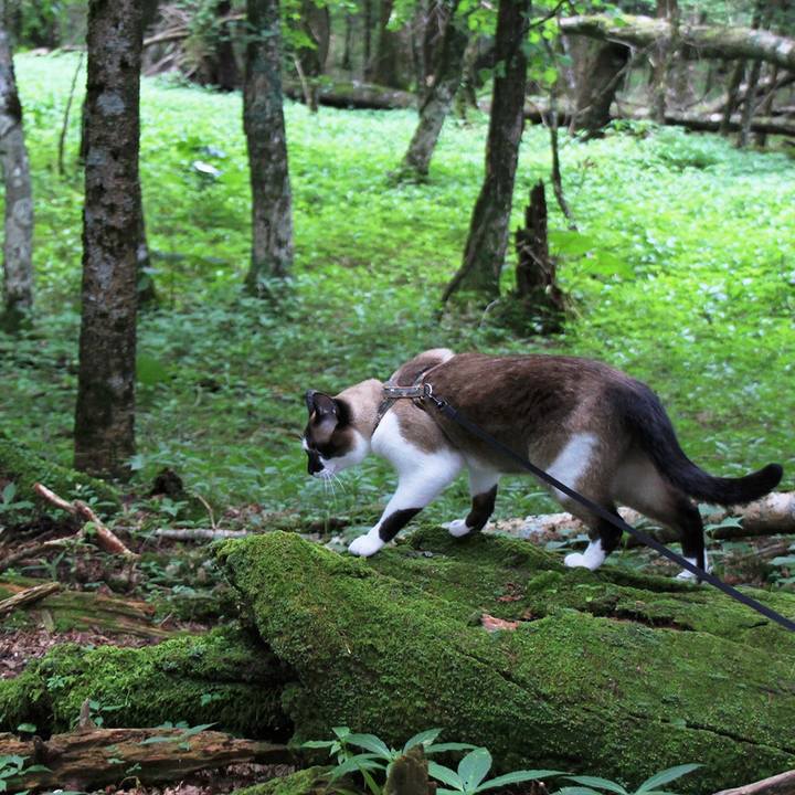 Cbde32b1 5216 42a5 9c86 f1143a81ed35