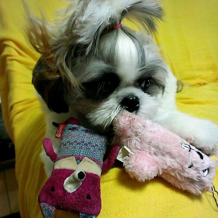 Cbde4a03 e4b4 45ec b8b2 7c1e661955f2