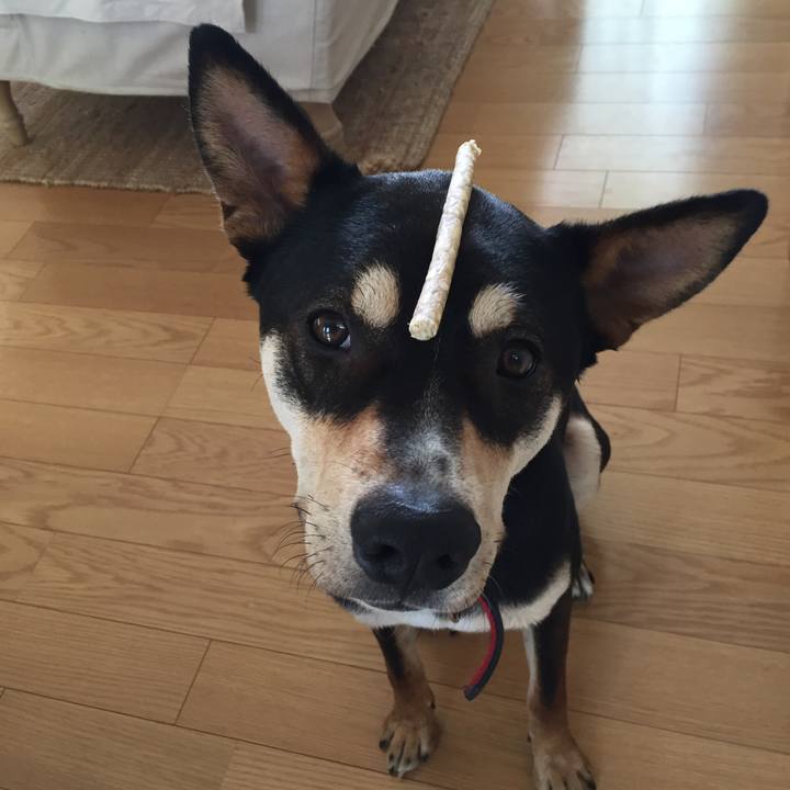 Cbde5944 99cb 4090 bb5a 39478e04b959