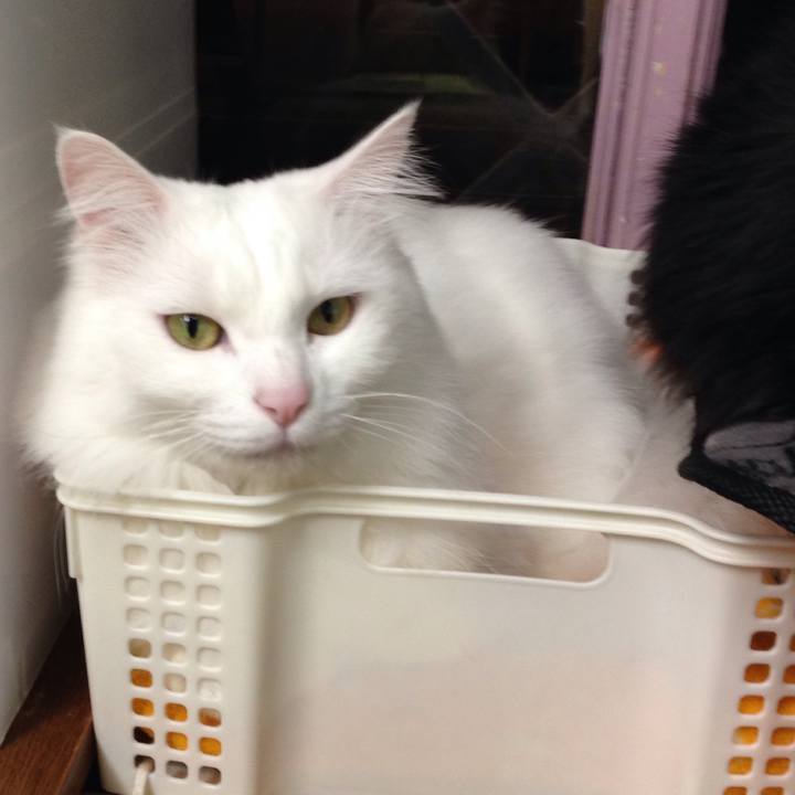 Cbde60ff 6437 4d1a b772 6533ae909efc