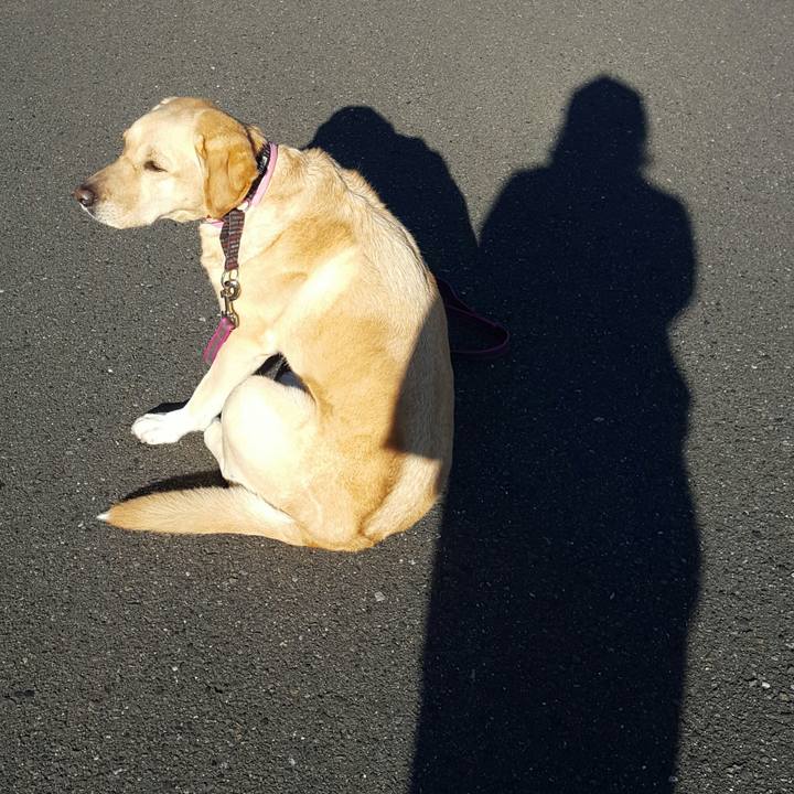 Cbdf29de b9fd 4574 a069 76175138b517