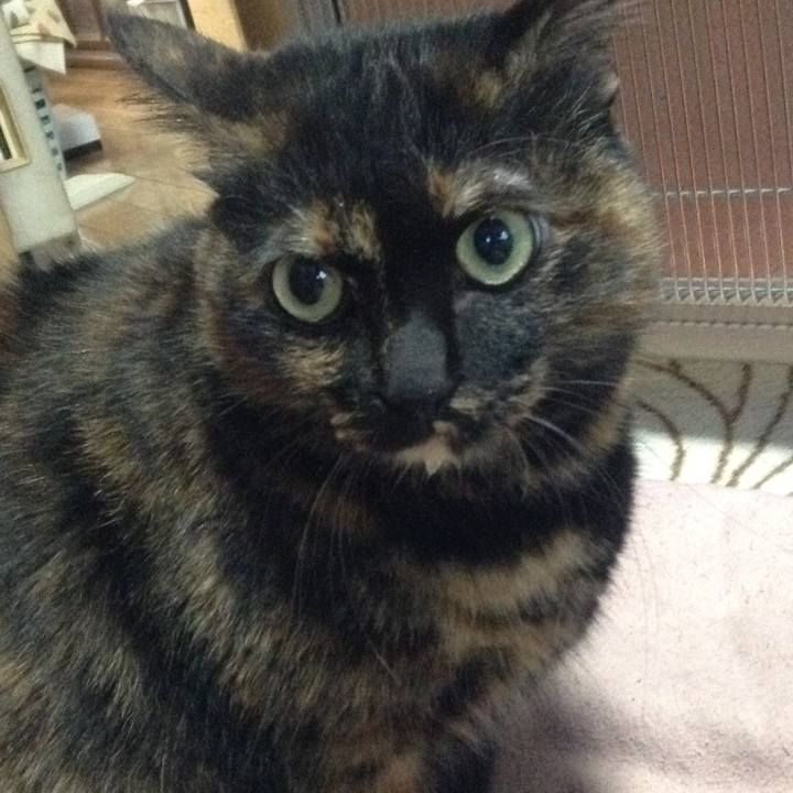 Cbdfb7f1 4fdb 46c5 a1d3 44287121bbcd