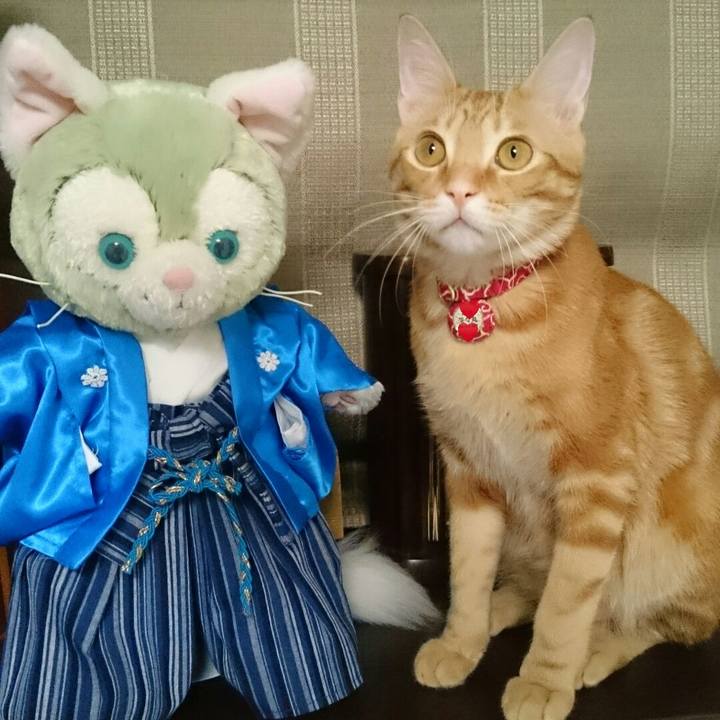 Cbdfbc7b 609a 41c1 a654 be8e84303272